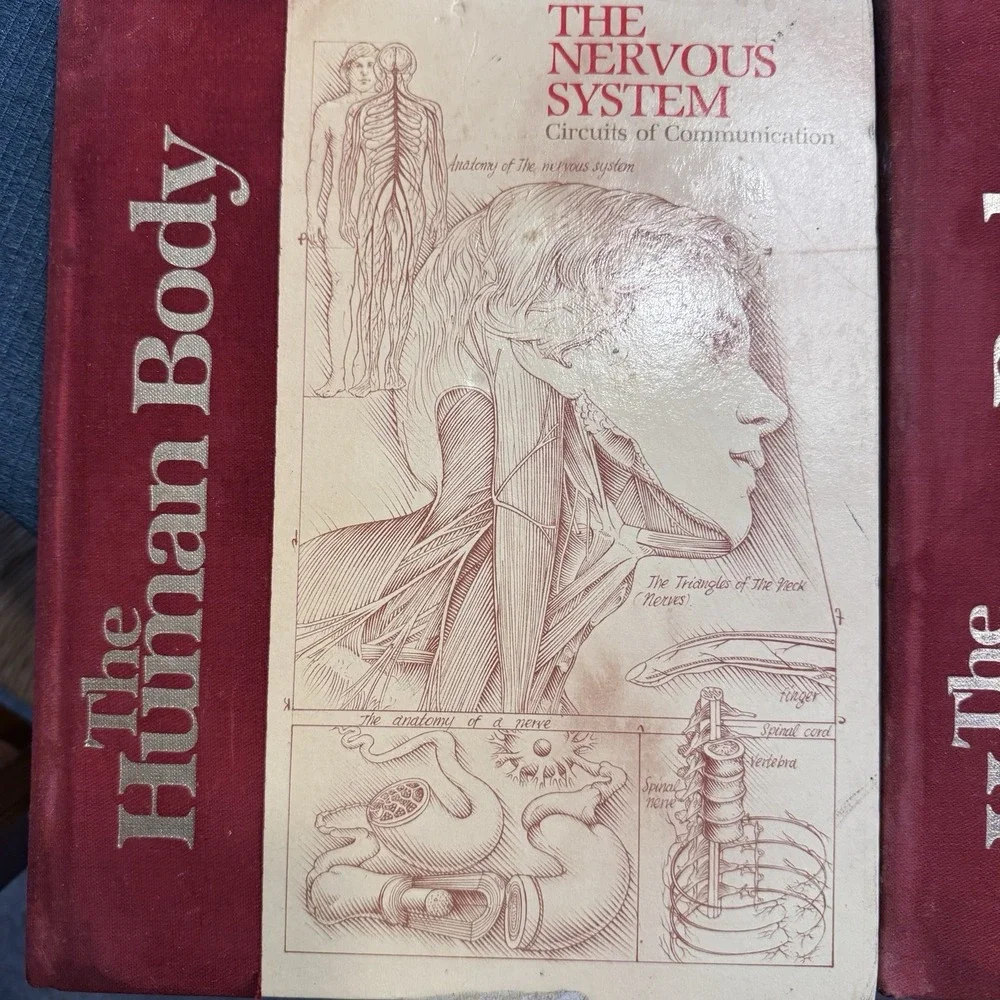 Vintage 80's The Human Body Book Lot 6 HC US News Books Anatomy Science Medical